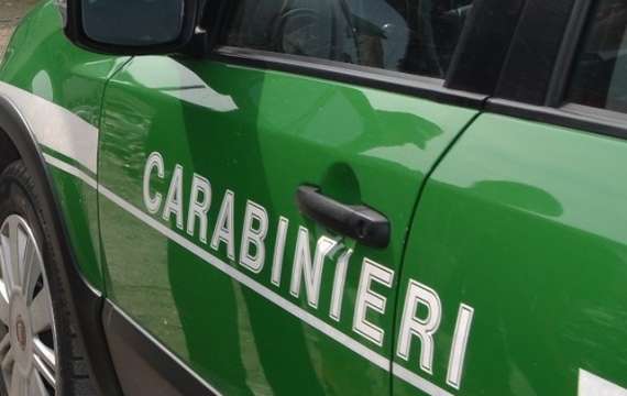<p>carabinieriverde</p>