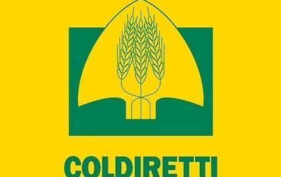 <p>coldiretti2017</p>