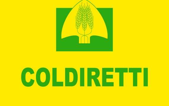 <p>coldiretti2017_1</p>