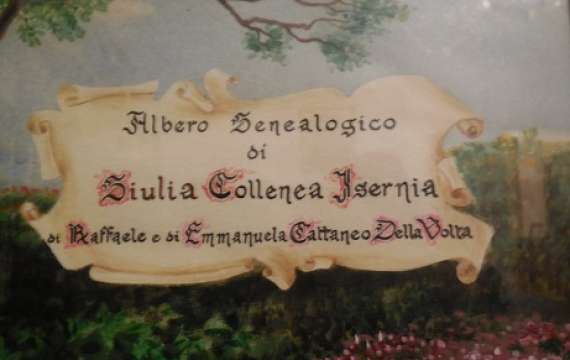 <p>colleneaisernia</p>
